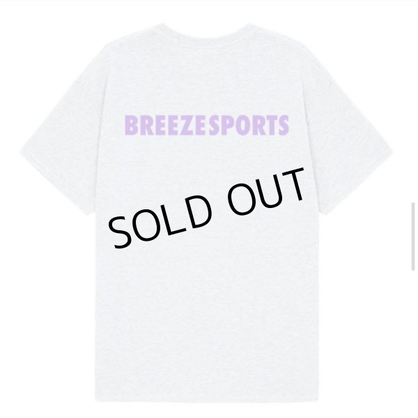 画像1: breeze sports logo T (1)
