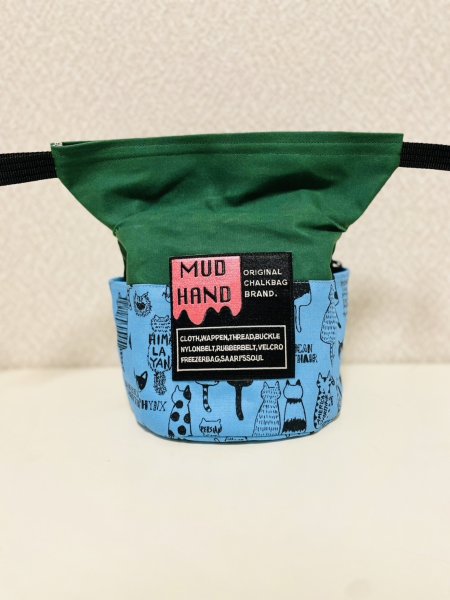 画像1: グリーン×猫 (1)